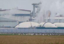 Transizione ecologica. L’Emilia-Romagna accelera su fotovoltaico ed energia pulita.