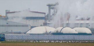 Transizione ecologica. L’Emilia-Romagna accelera su fotovoltaico ed energia pulita.