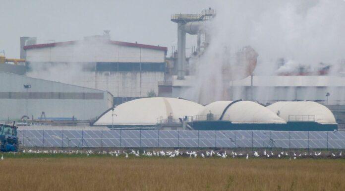 Transizione ecologica. L’Emilia-Romagna accelera su fotovoltaico ed energia pulita.