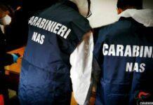 Sequestrate 20 tonnellate di prosciutti conservati tra sporcizia e ruggine