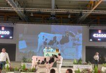 Lattiero Caseario: Prezzi stabili