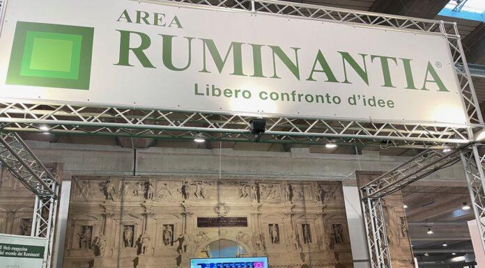 Cremona, Fiera internazionale del Bovino. Come gestire l’aumento dei costi di alimentazione?