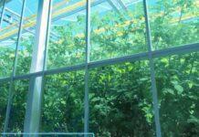 H2ORTO – Bontà Sostenibile