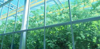 H2ORTO – Bontà  Sostenibile