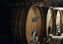 NATURNO, terra di Riesling