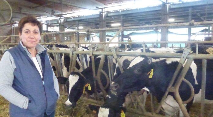 Da Ilenia a Elisa, il testimone della guida di FedAgriPesca Parma resta in mani femminili