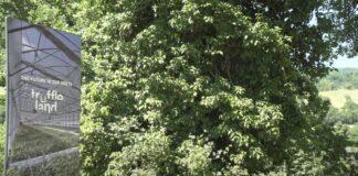 La tartuficoltura del futuro