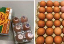 Allarme Uova. RISCHIO GRAVE PER LA SALUTE DEI CONSUMATORI.