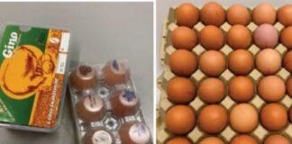 Allarme Uova. RISCHIO GRAVE PER LA SALUTE DEI CONSUMATORI.