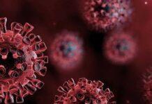 Colpo di coda di fine anno per i contributi Covid – seconda puntata