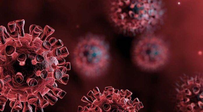 Colpo di coda di fine anno per i contributi Covid – seconda puntata