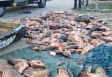 Contrasto al bracconaggio e recupero delle cave come oasi ambientali serbatoi di energia pulita (Video)