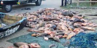 Contrasto al bracconaggio e recupero delle cave come oasi ambientali serbatoi di energia pulita (Video)