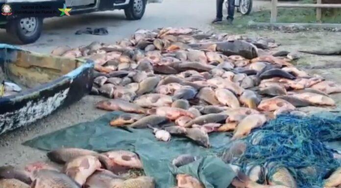 Contrasto al bracconaggio e recupero delle cave come oasi ambientali serbatoi di energia pulita (Video)