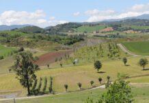 AGRICOLTURA, Maglione (M5s): Il Governo si impegna a potenziare le misure Di Ismea