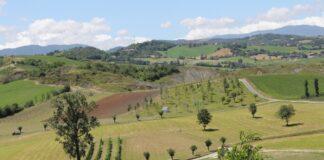 AGRICOLTURA, Maglione (M5s): Il Governo si impegna a potenziare le misure Di Ismea