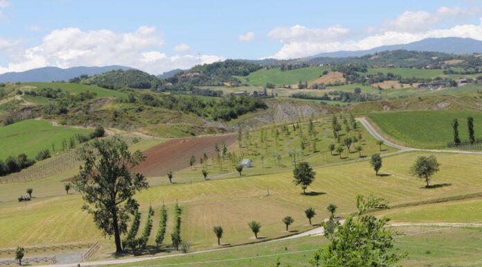 AGRICOLTURA, Maglione (M5s): Il Governo si impegna a potenziare le misure Di Ismea