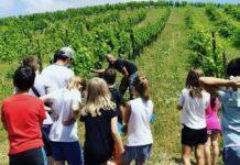 La natura che cura, minifestival del lavoro e della salute mentale