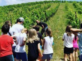 La natura che cura, minifestival del lavoro e della salute mentale