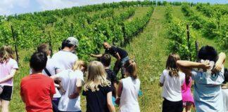 La natura che cura, minifestival del lavoro e della salute mentale