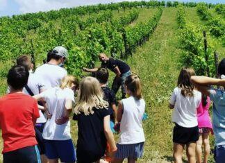 La natura che cura, minifestival del lavoro e della salute mentale