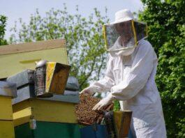 Apicoltura sarà protagonista nella prossima PAC
