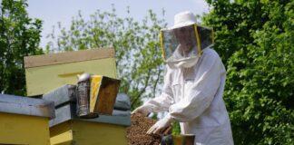 Apicoltura sarà protagonista nella prossima PAC