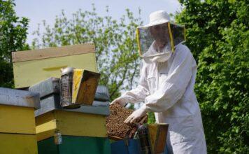 Apicoltura sarà protagonista nella prossima PAC