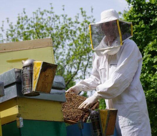 Apicoltura sarà protagonista nella prossima PAC