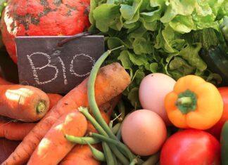 Agricoltura e legge sul BIO!