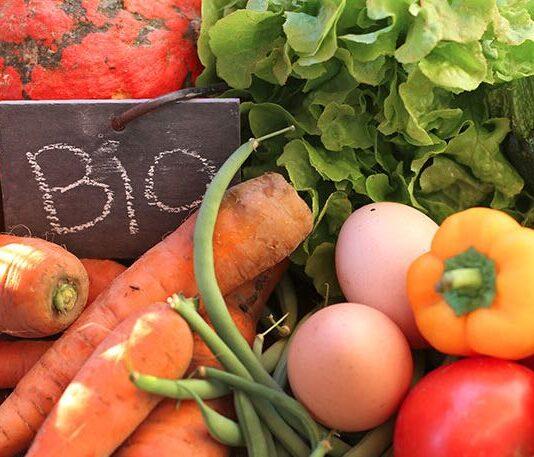Agricoltura e legge sul BIO!
