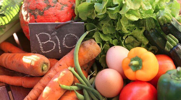 Agricoltura e legge sul BIO!