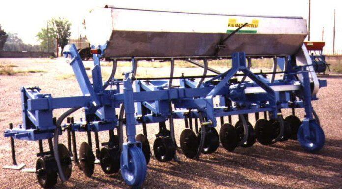 Cereali e dintorni. Il 2022 si apre con una forte spinta al rialzo.