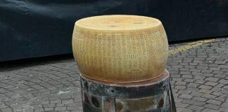 Lattiero Caseario: Torna a risalire il Parmigiano Reggiano