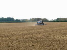 Cereali e dintorni. Primo USDA 2022 senza scossoni.