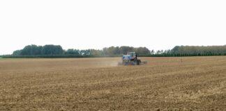 Cereali e dintorni. Primo USDA 2022 senza scossoni.