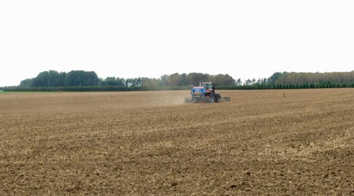 Cereali e dintorni. Primo USDA 2022 senza scossoni.