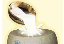 Lattiero Caseario: I DOP in Gran Forma