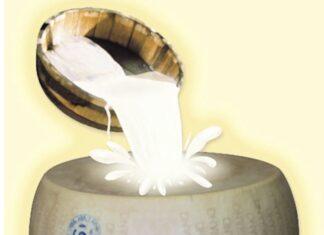 Lattiero Caseario: “Latte e Burro in forte ascesa”