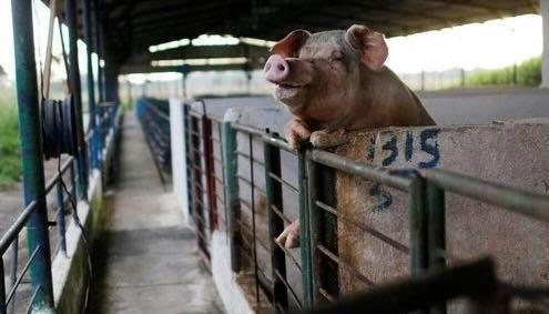 onecms_099947ca-40da-490d-ab8a-02a055e64079 (2).JPG_f=detail_558&h=720.&w=1280&$p$f$h$w=a740e58