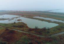 Giornata Mondiale delle Zone Umide 2022