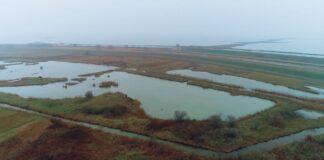 Giornata Mondiale delle Zone Umide 2022