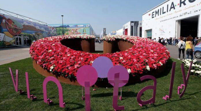 Il mercato del Vino nella distribuzione moderna: dopo un 2021 positivo, incertezza per il 2022