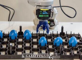 Emilia Romagna. Export da record