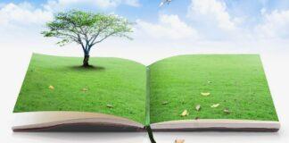 L’ambiente in Costituzione, il gas, il ritorno del carbone, la crescita delle rinnovabili: le contraddizioni del post COP26 (e post Covid-19)