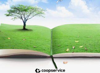 L’ambiente in Costituzione, il gas, il ritorno del carbone, la crescita delle rinnovabili: le contraddizioni del post COP26 (e post Covid-19)