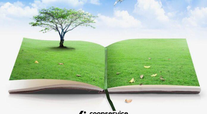 L’ambiente in Costituzione, il gas, il ritorno del carbone, la crescita delle rinnovabili: le contraddizioni del post COP26 (e post Covid-19)