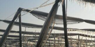 Gelate di Marzo: escursione termica da primato.