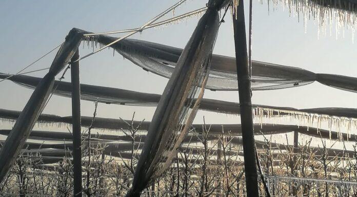 Gelate di Marzo: escursione termica da primato.