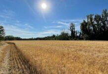 Caro-materie prime, da UniCredit 1 miliardo a supporto delle imprese agricole italiane